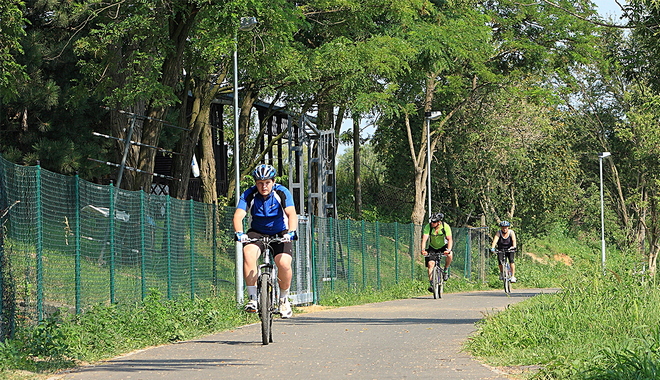 Promenáda pro pěší a cyklisty Nové Mlýny - Pasohlávky; Objem investice: 10 810 100 Kč (Zdroj: Interní databáze ÚRR ROP JV)